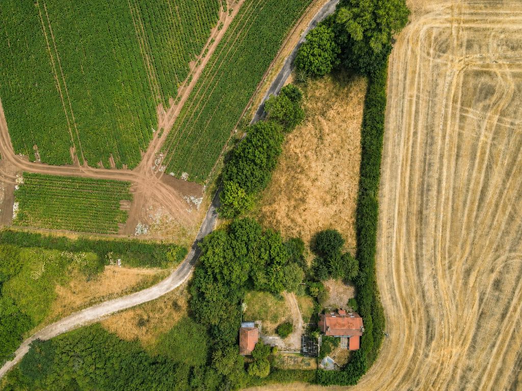 House Eske Lane in Tickton