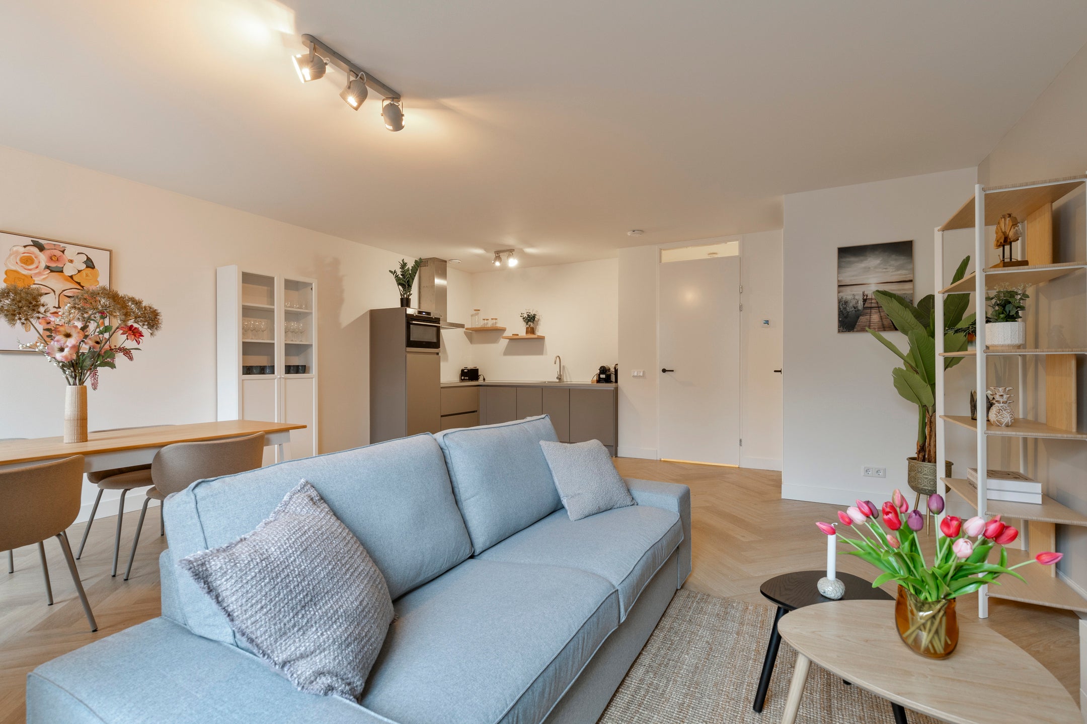 Appartement Willem de Zwijgerstraat 8 B in Rotterdam
