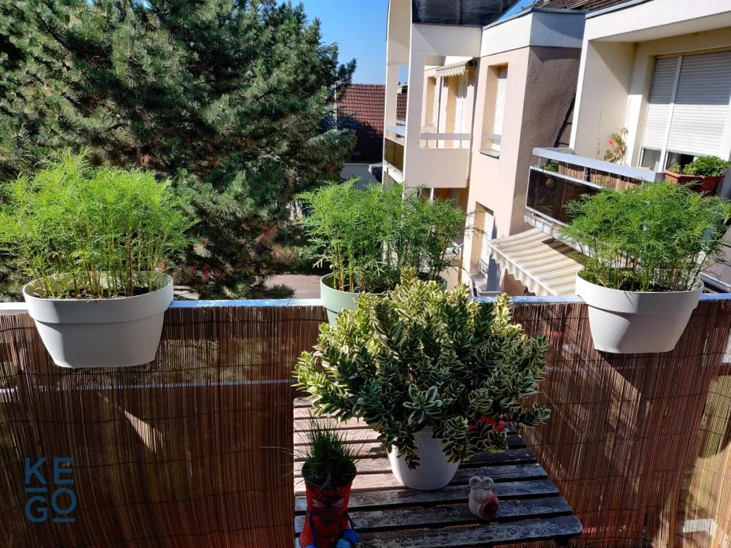 Flat Rue de l'Aigle in Bischheim
