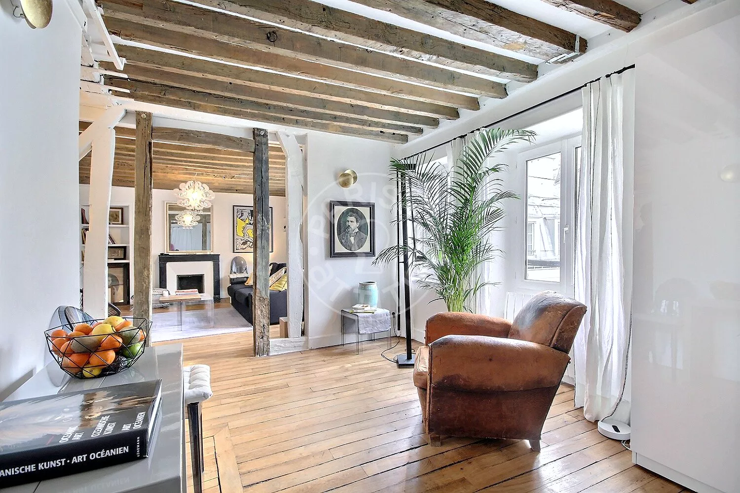 Flat Rue de Seine in Paris