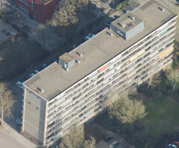 Kramsvogellaan