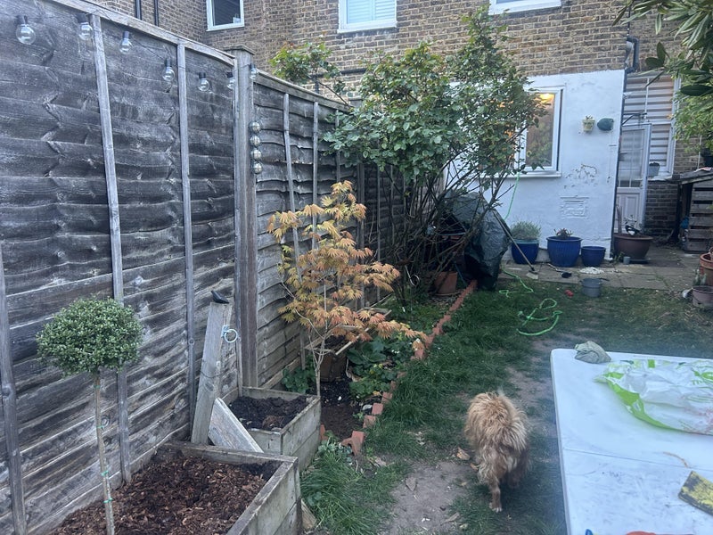 Room Ewart Road in Greater London