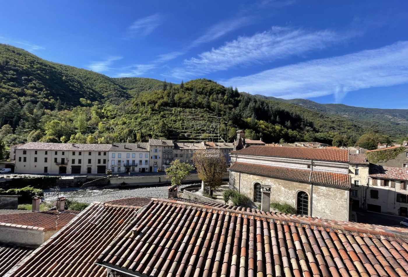 Appartement Rue du Barry de la Macedoine à Val-d'Aigoual