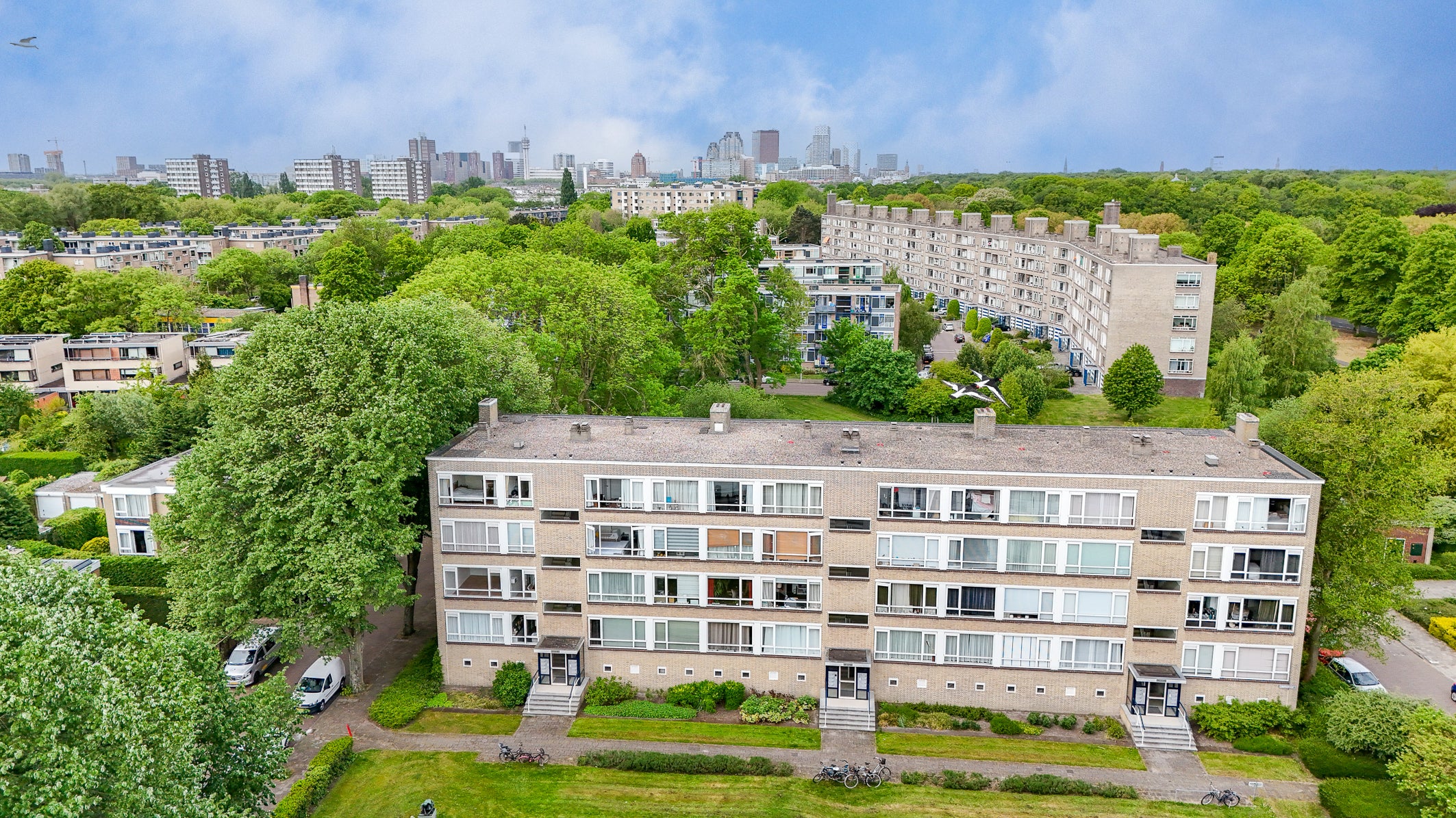 Saffierhorst 8 in Den Haag