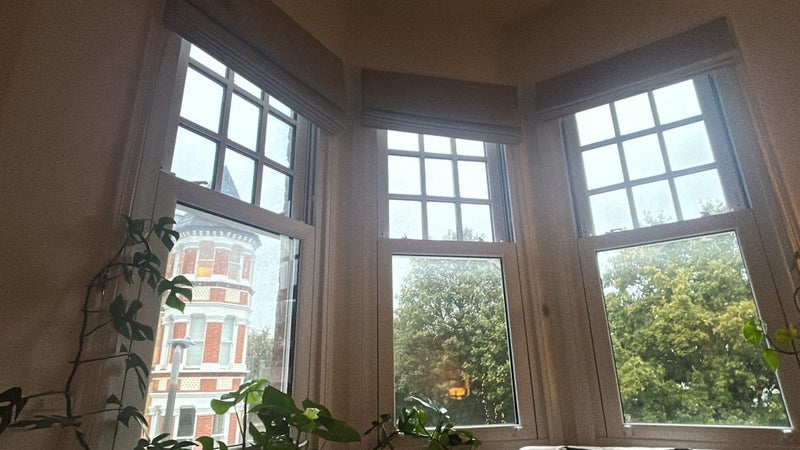 Room Schubert Road in Greater London