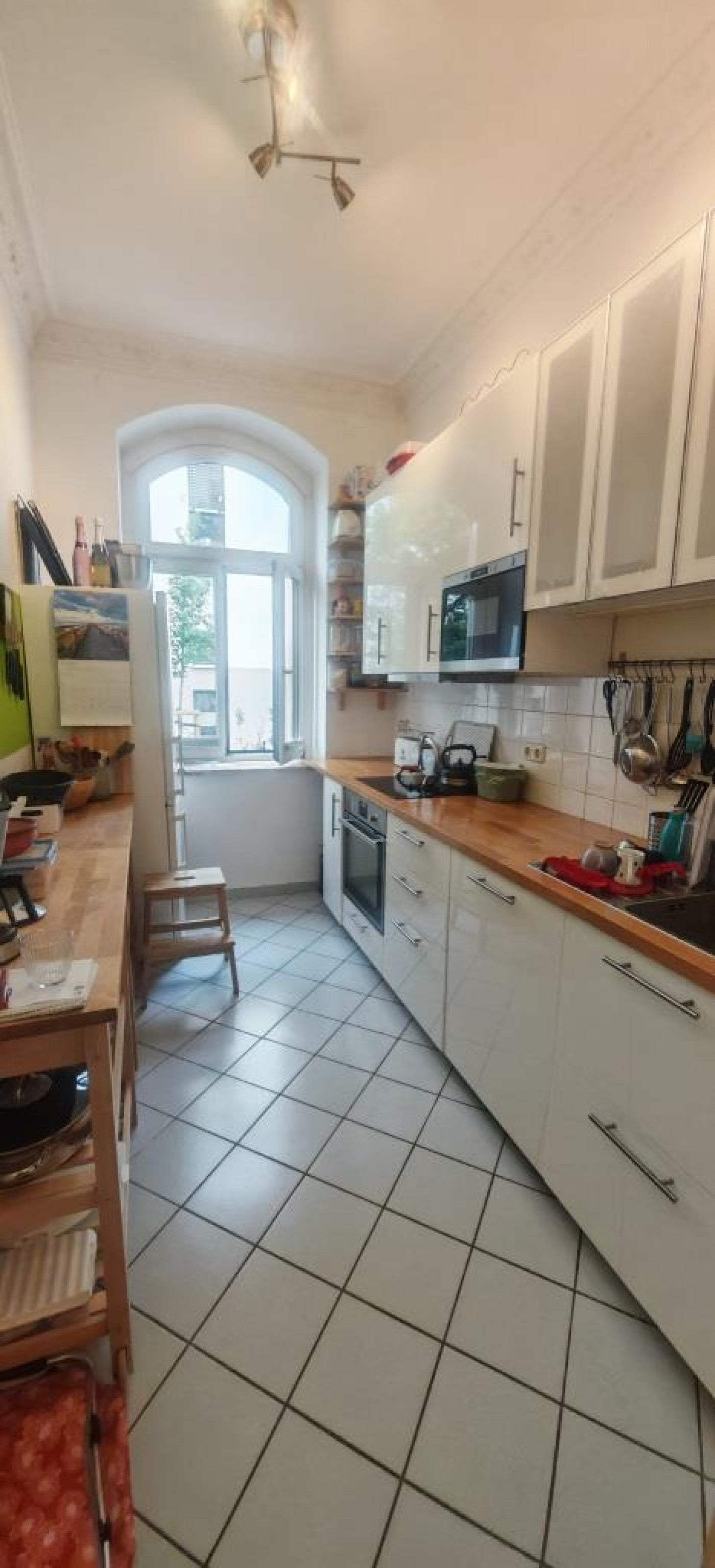 Wohnung Schlüterstraße in Dresden