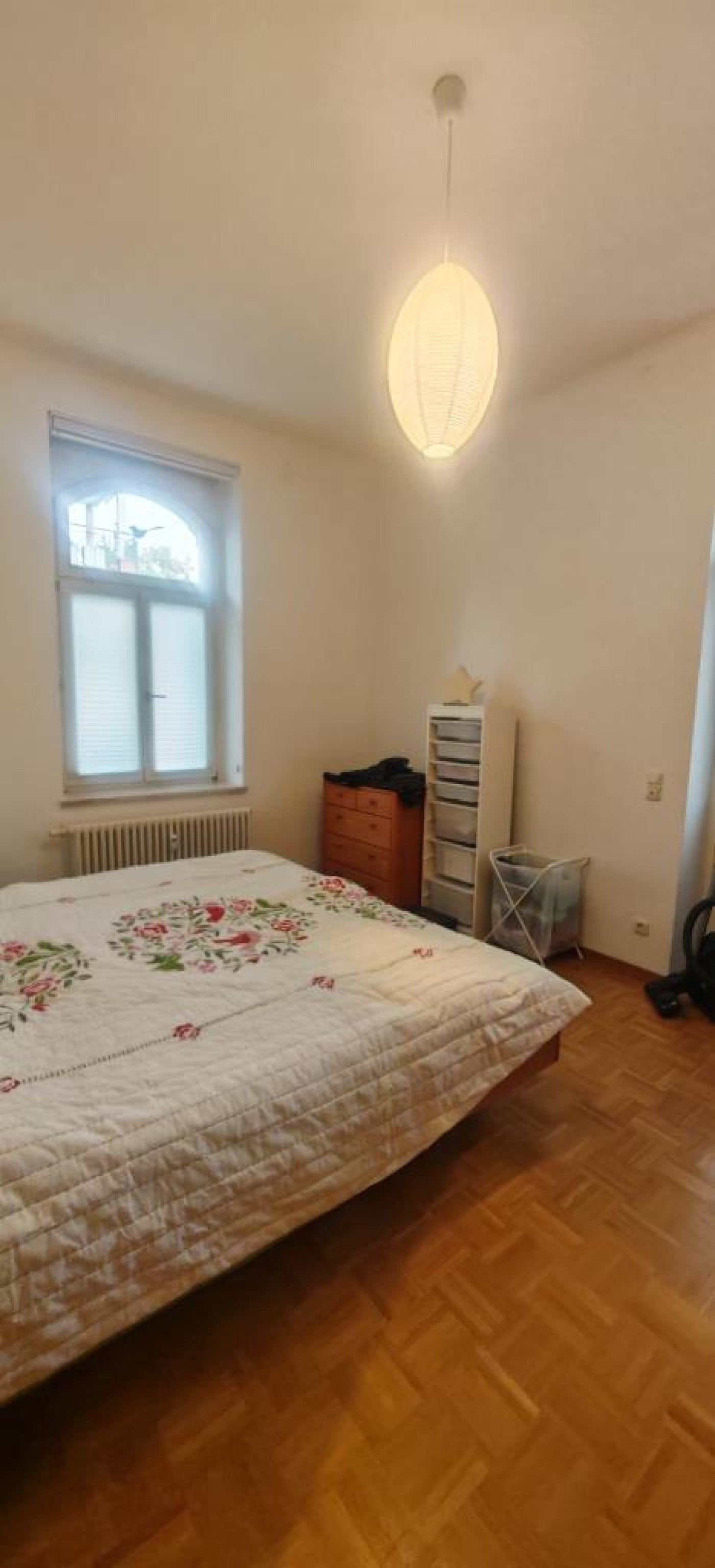 Wohnung Schlüterstraße in Dresden