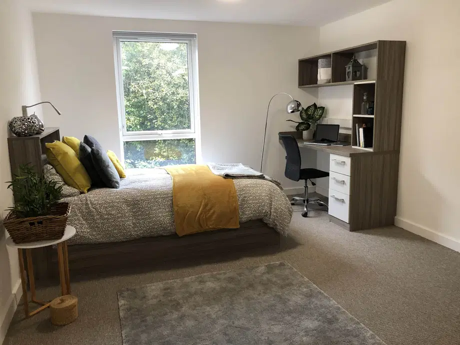 Flat Knowle Street in Stoke-on-Trent