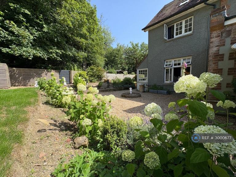 House Fir Toll Road in Wealden
