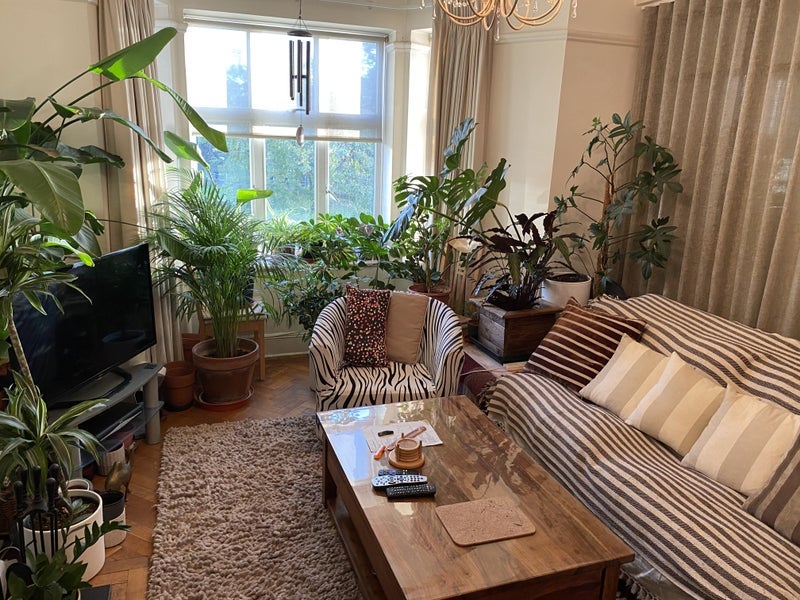 Room Haven Green in Greater London