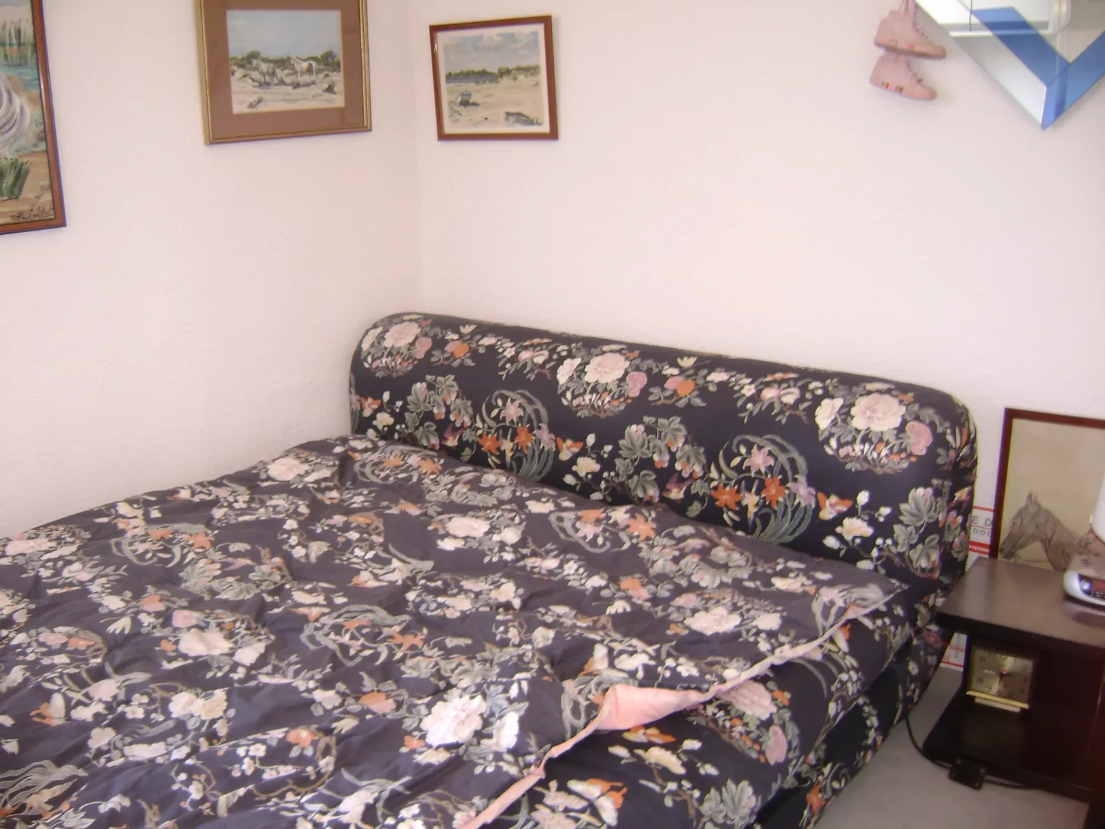 Chambre Allée des Cyclades à Montpellier