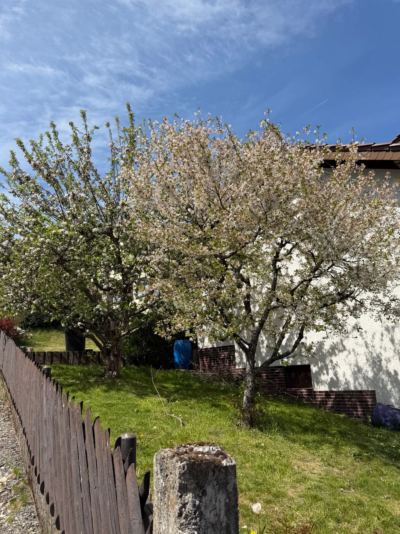Wohnung Am Komberg in Gersfeld