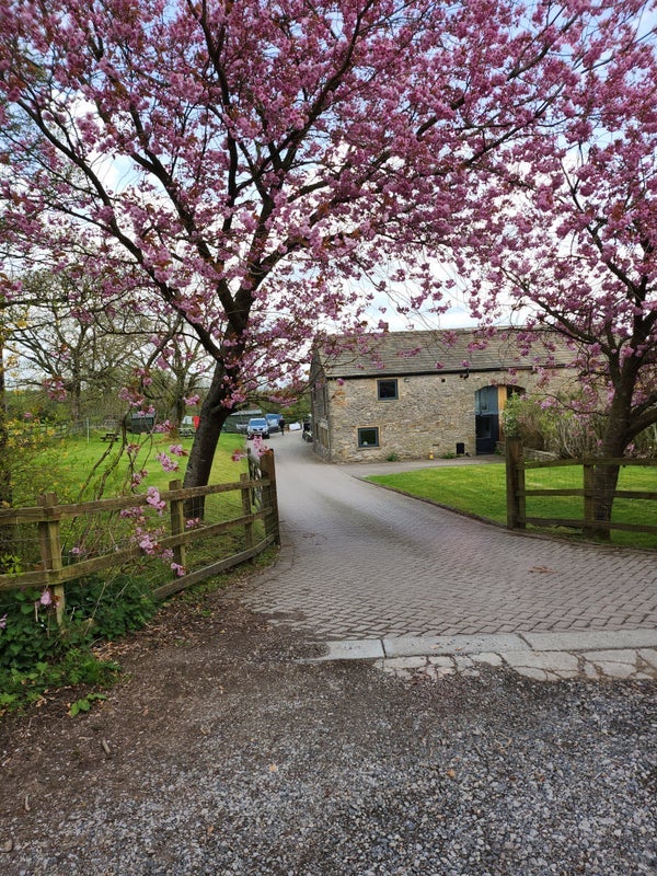Room Calf Hall Lane in Borough of Pendle