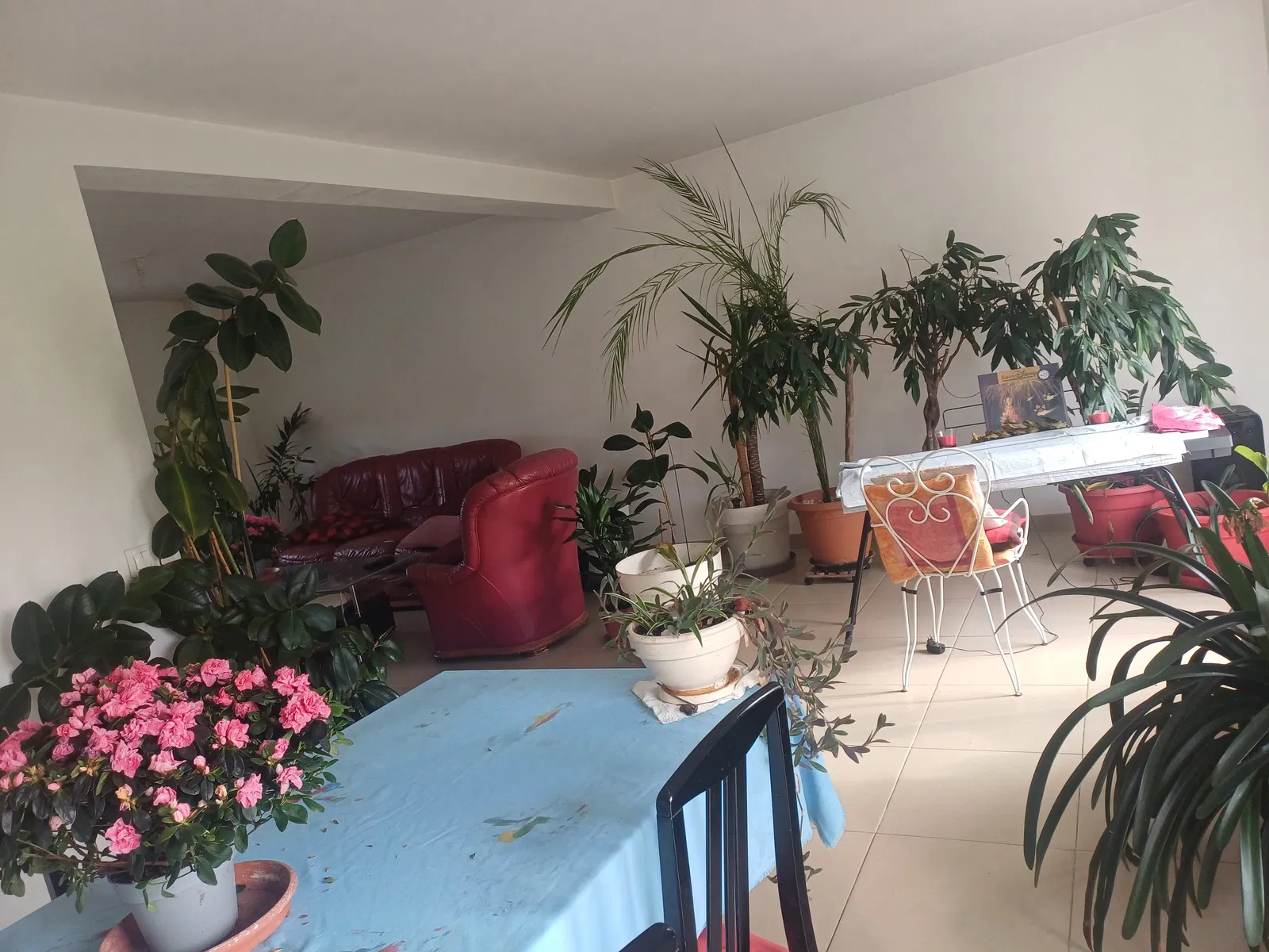 Room Rue de Segy in Quincy-Voisins