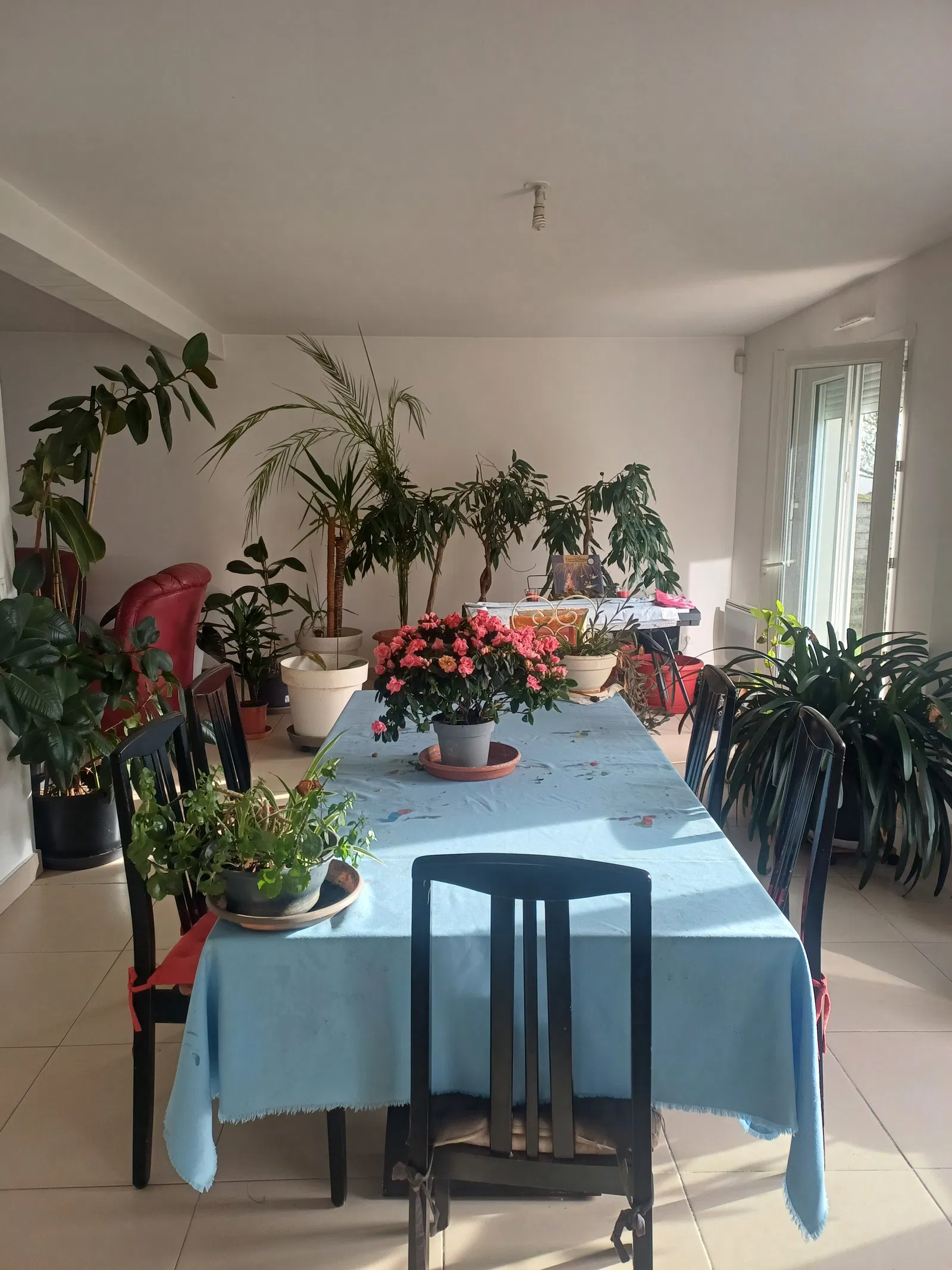 Room Rue de Segy in Quincy-Voisins