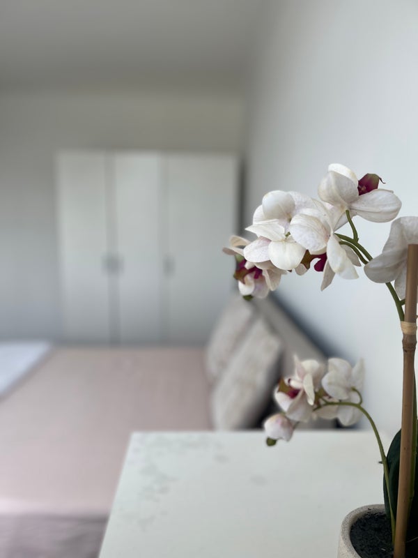 Room Woking Close in Greater London