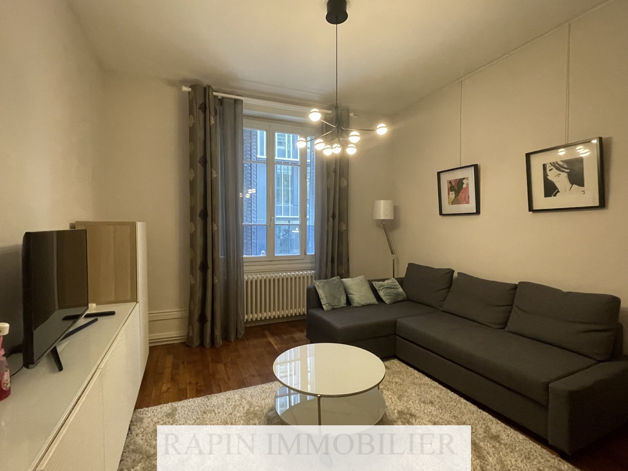 Flat Boulevard Anatole France in Lyon