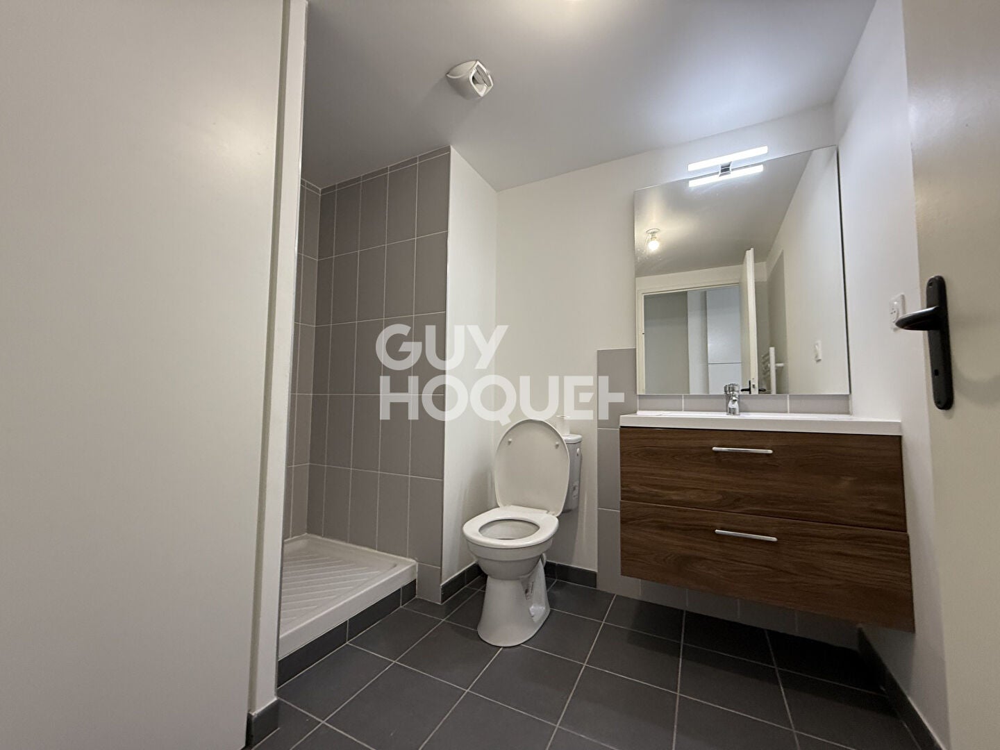 Flat Rue Marcellin Berthelot in Meyzieu