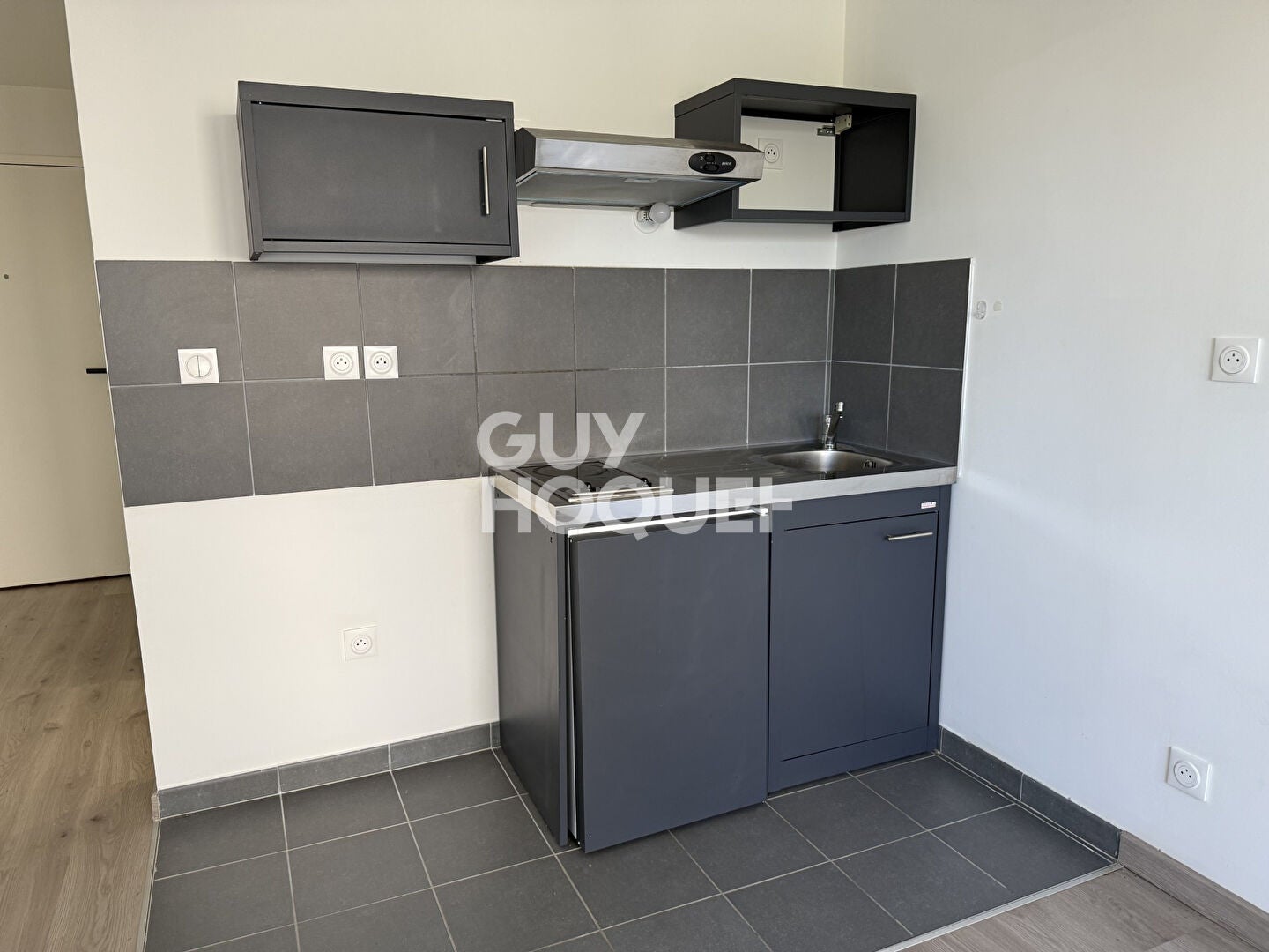Flat Rue Marcellin Berthelot in Meyzieu
