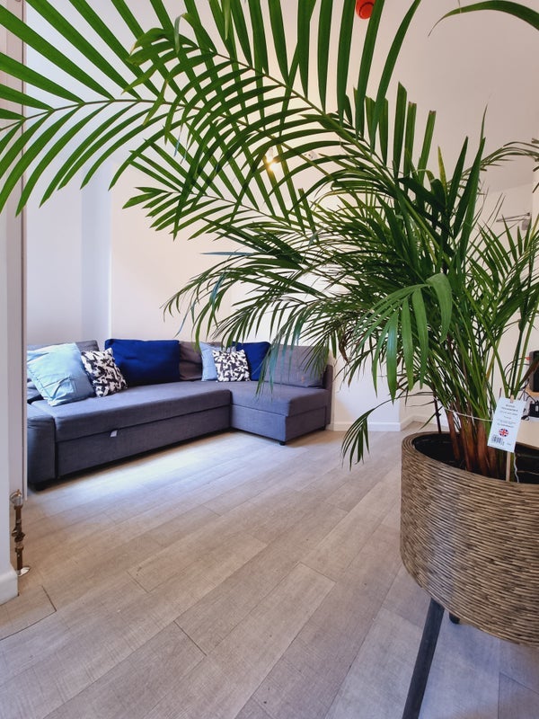Room Arno Avenue in Nottingham