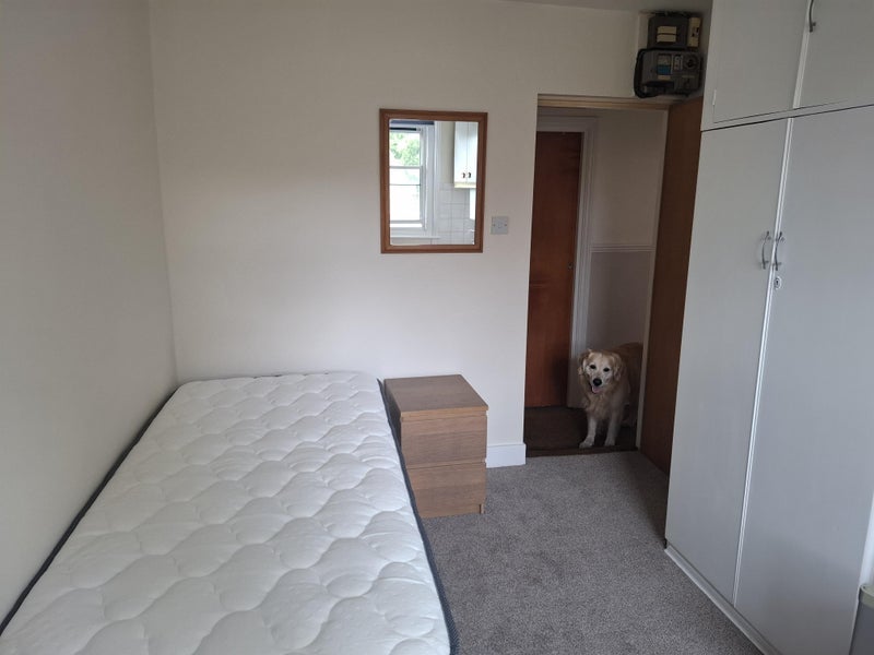 Room Cambridge Street in City of Westminster