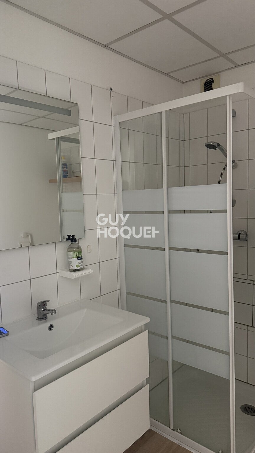 Appartement Rue du Raisin à Mulhouse