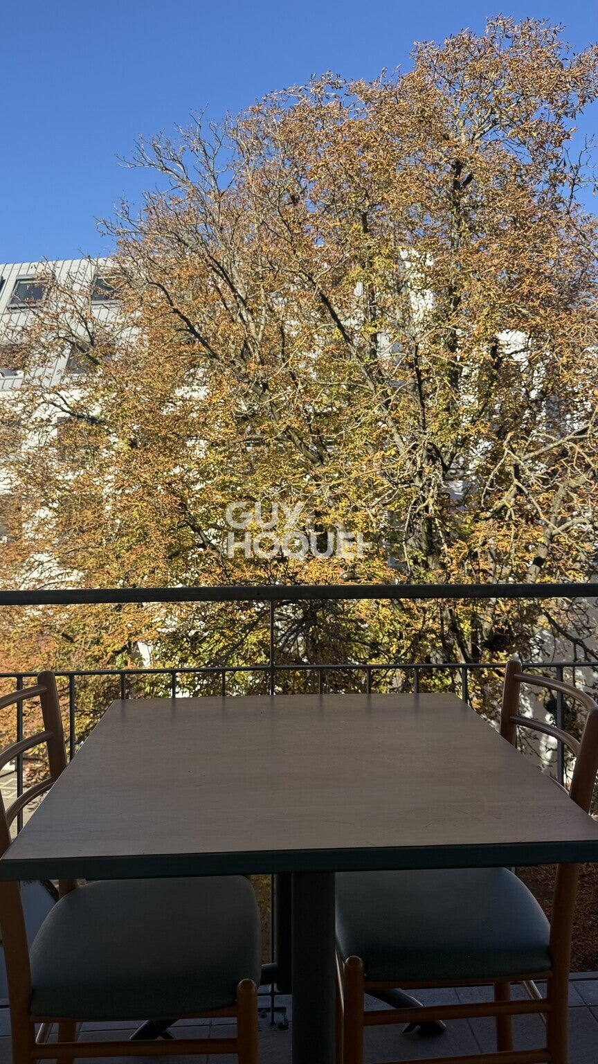Appartement Rue du Raisin à Mulhouse