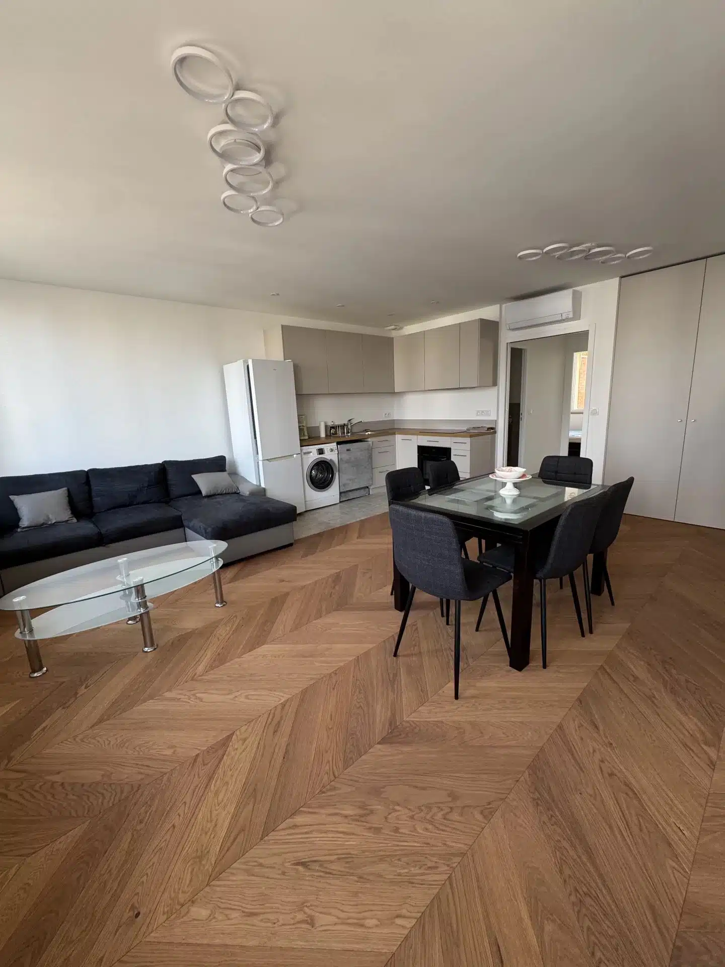Flat Rue Jacques-Louis Hénon in Lyon