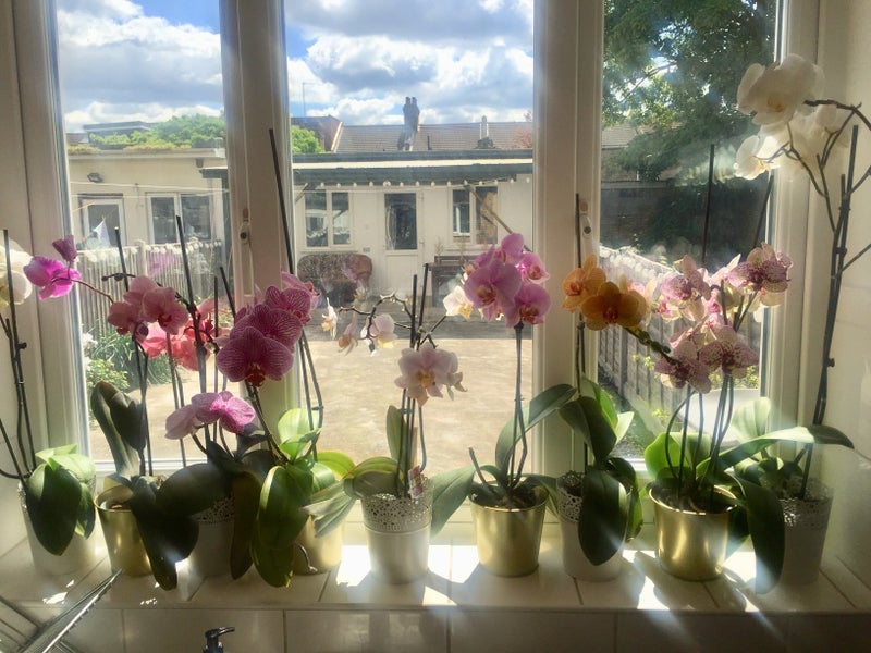 Room Kensington Avenue in Greater London