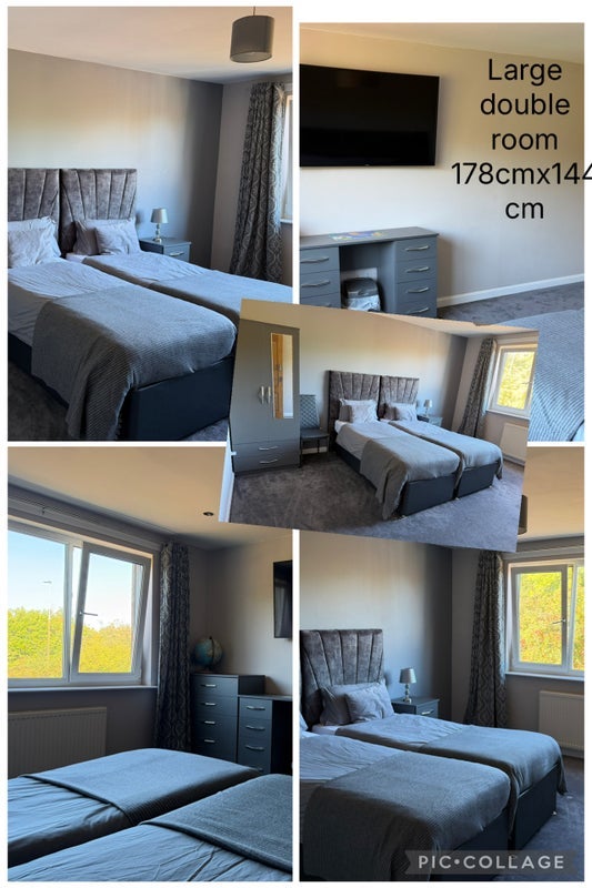 Room South Parrotshot in City of Edinburgh