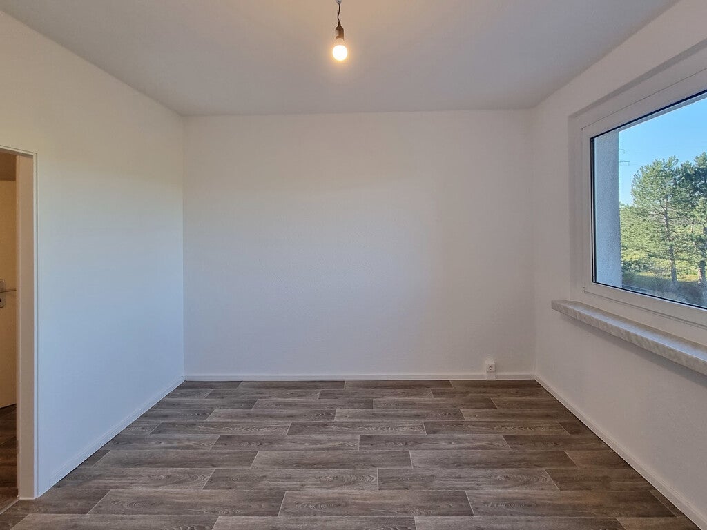 Zimmer Robinienstraße in Dresden