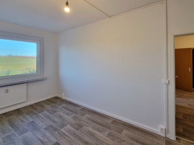 Zimmer Robinienstraße in Dresden