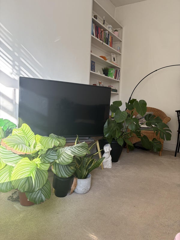 Room Hillmarton Road in Greater London