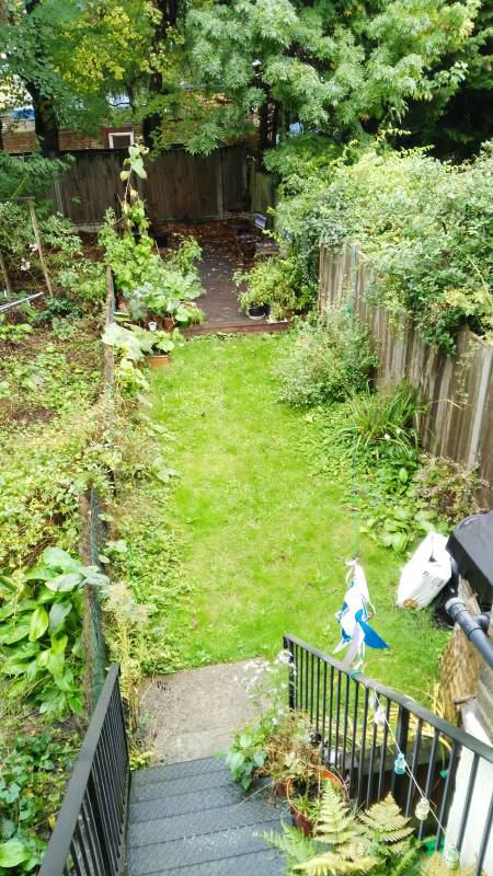 Room Endymion Road in Greater London
