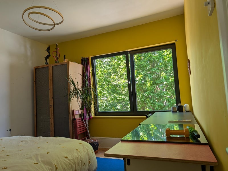 Room Ridley Road in Greater London