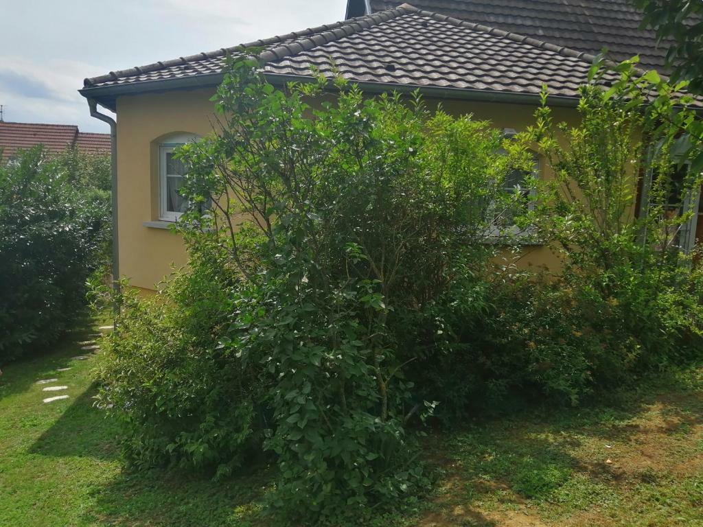 Flat Rue des Vosges in Illfurth