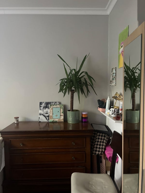 Room Wandsworth Road in Greater London