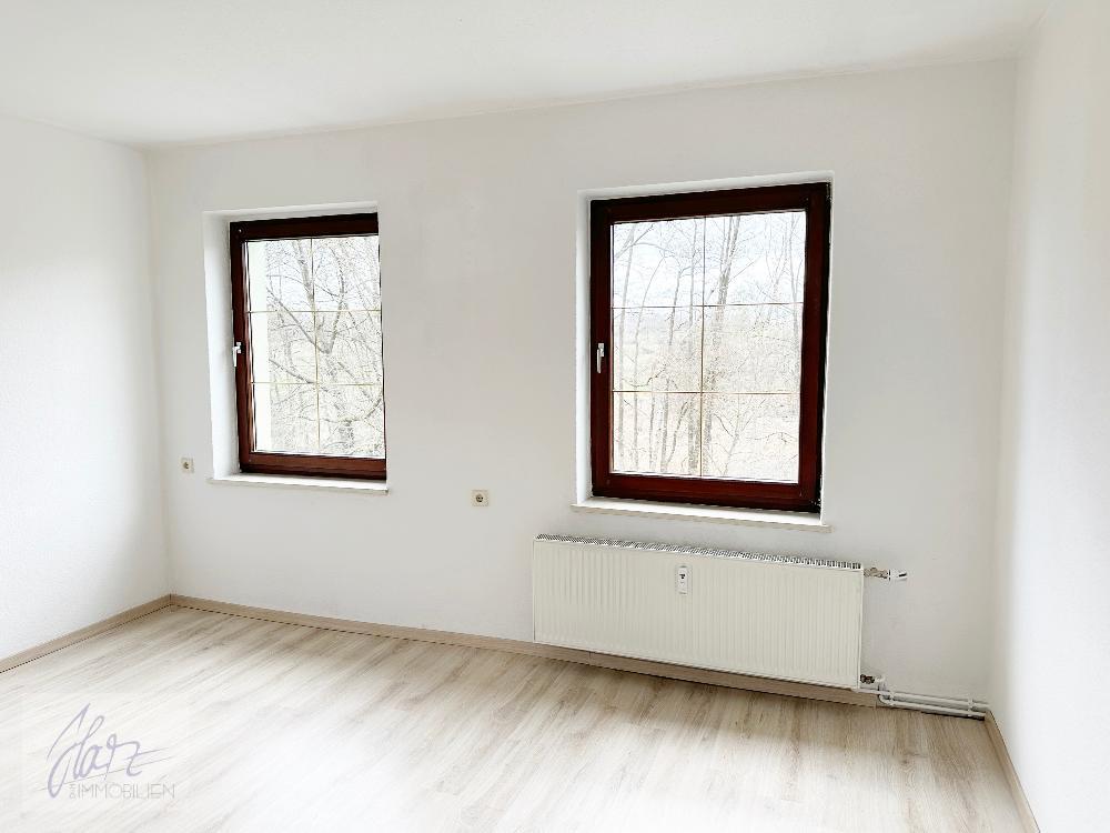 Haus Luisenstraße in Goltzscha