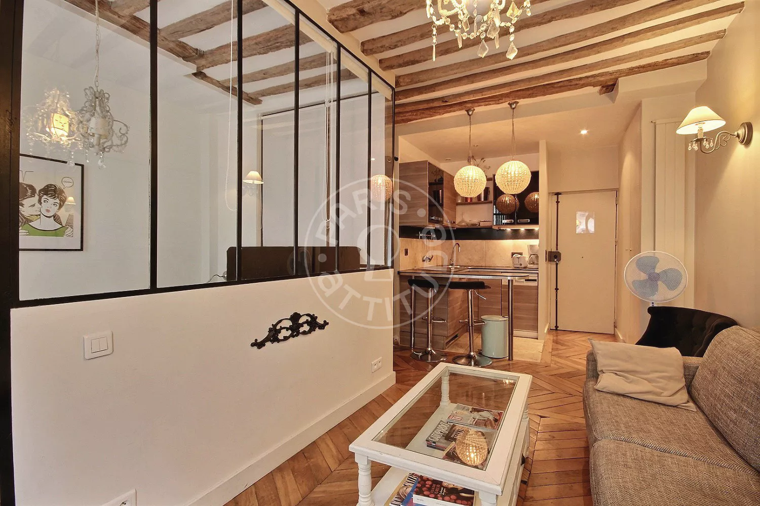 Flat Rue Guisarde in Paris