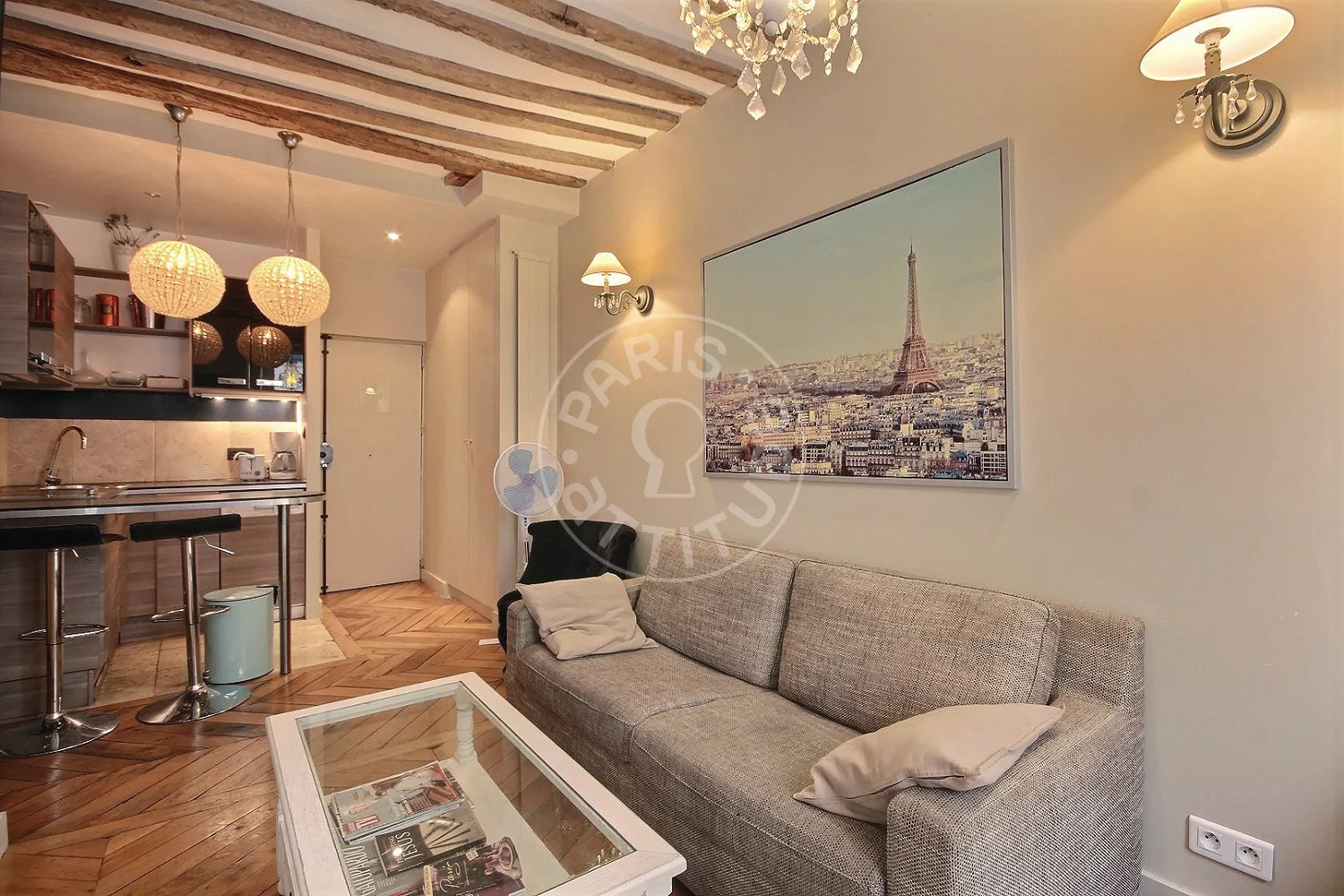 Flat Rue Guisarde in Paris