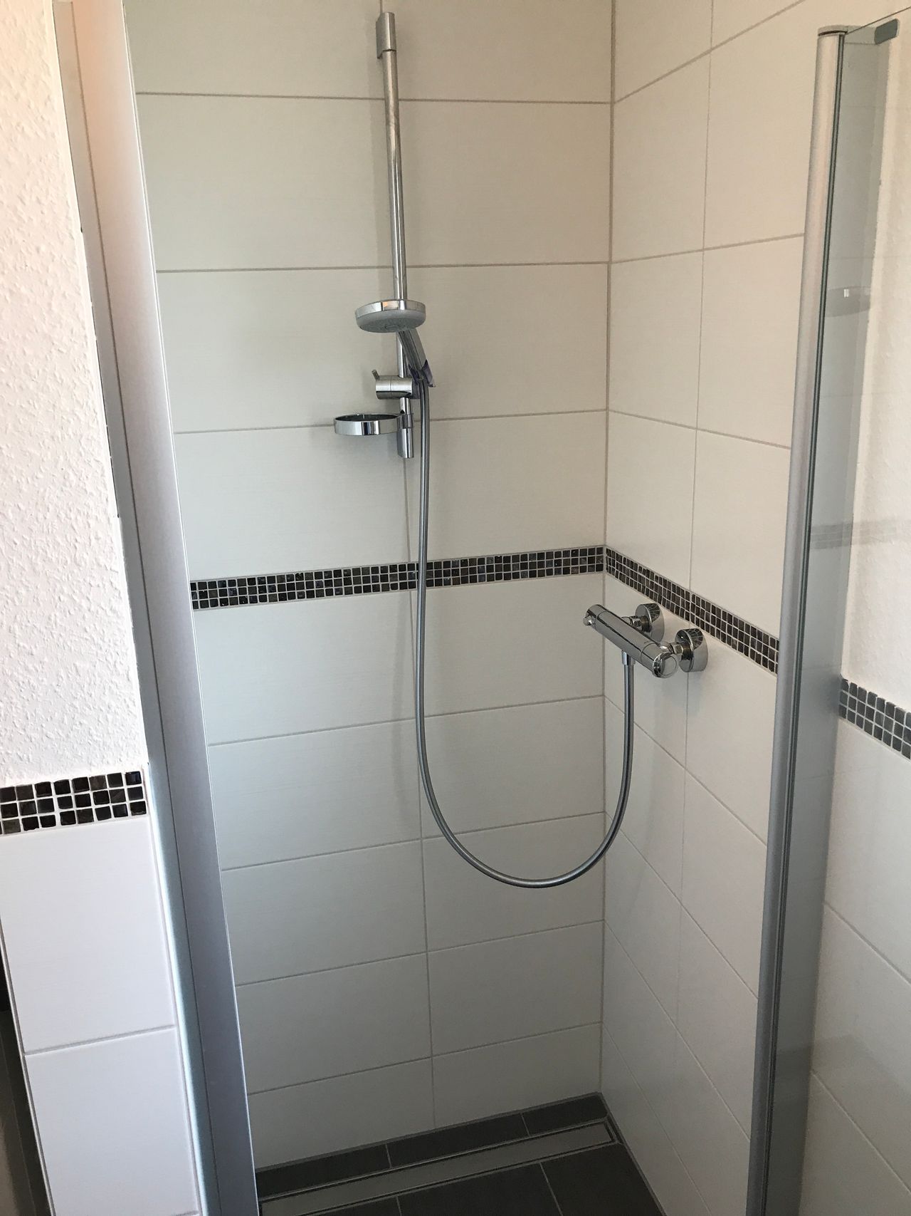 Wohnung Karl-Fürstenberg-Straße in Rheinfelden (Baden)