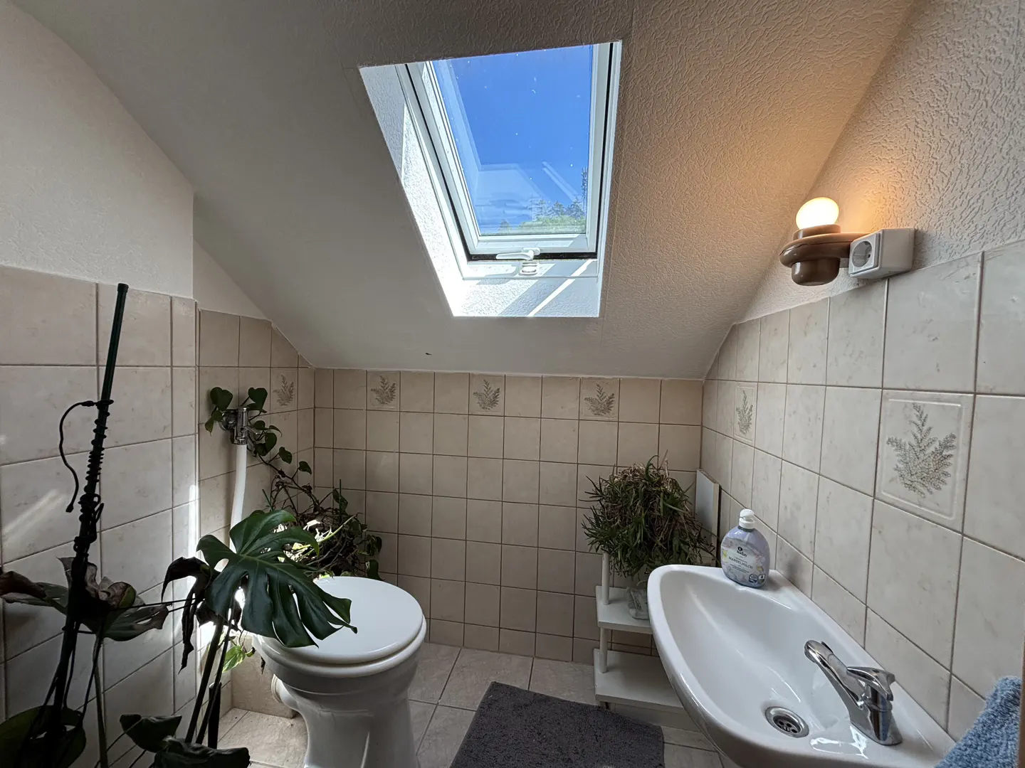 Wohnung Scheidweg in Siegen