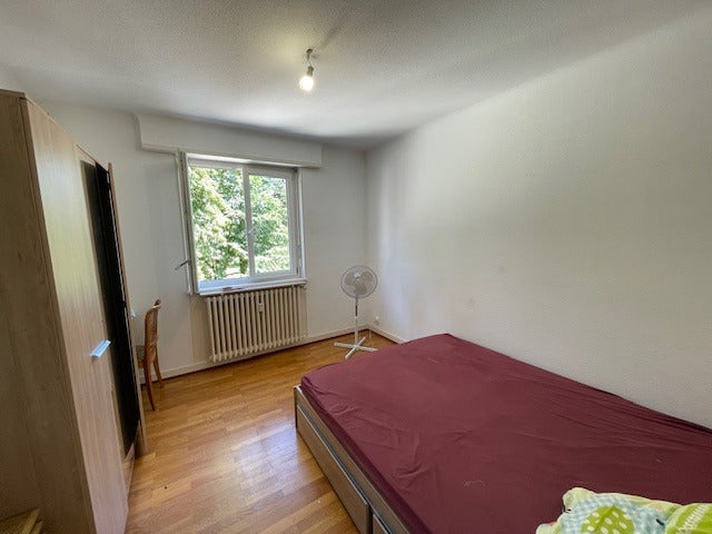 Appartement Rue Messimy à Colmar