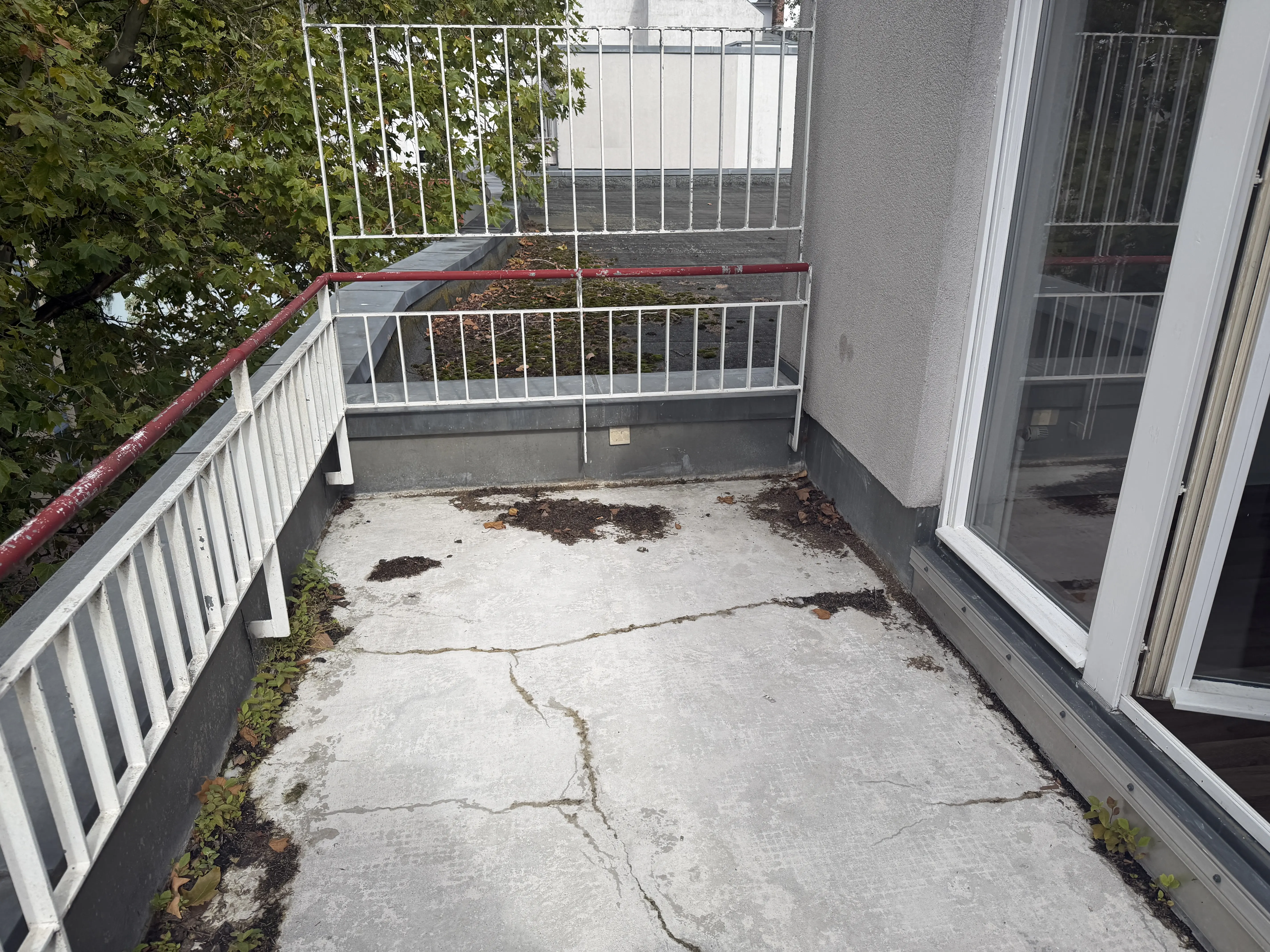 Wohnung Chausseestraße in Berlin