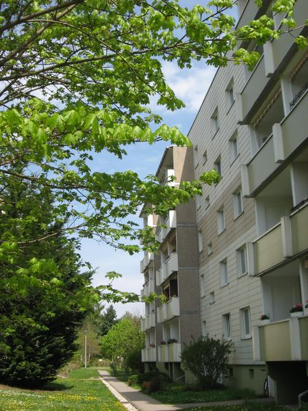 Wohnung Virchowstraße in Schkeuditz