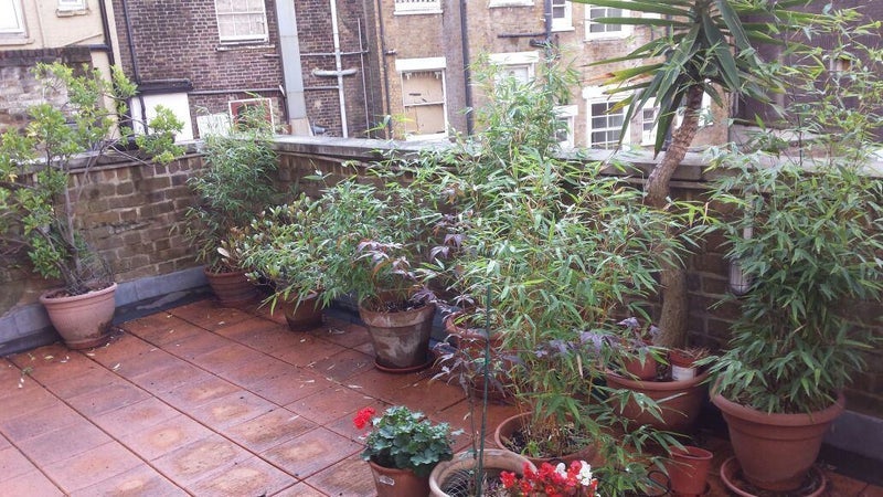 Room Calthorpe Street in Greater London