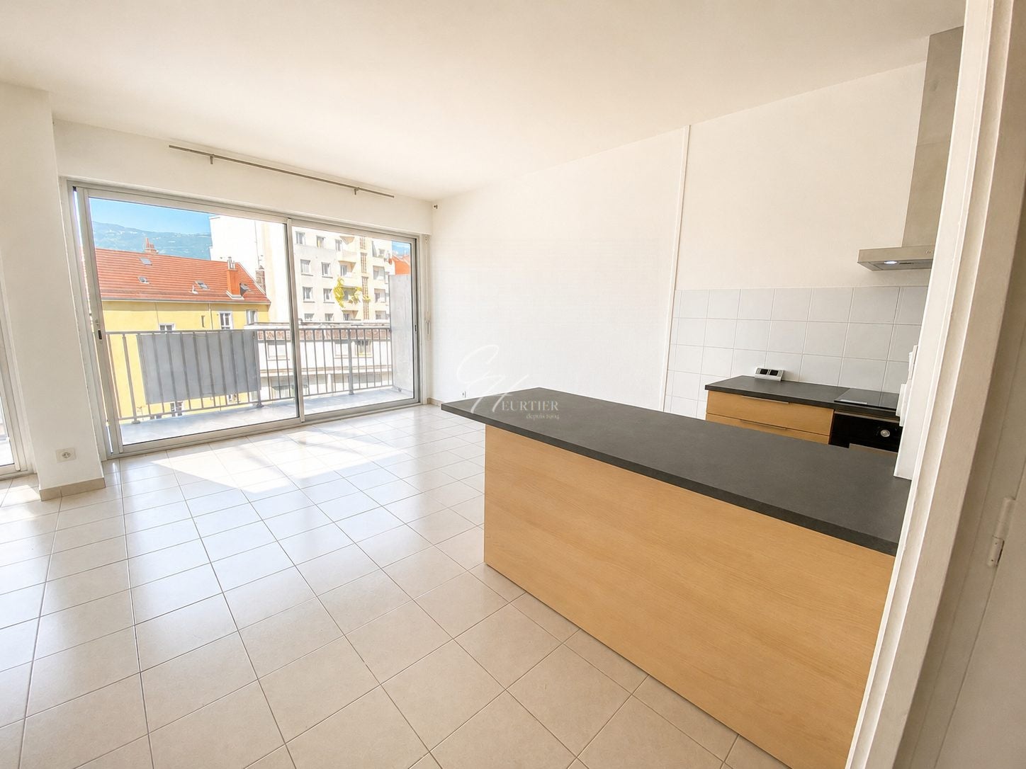 Appartement Avenue Jean Perrot à Grenoble