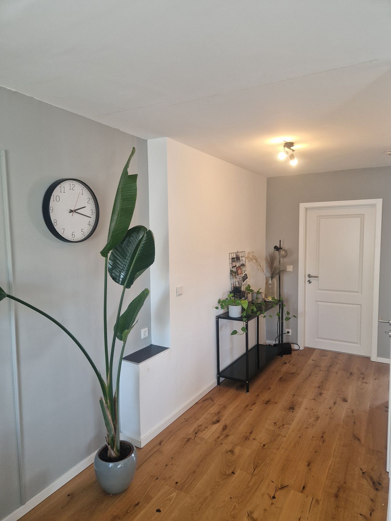 Wohnung Schultenhook in Telgte