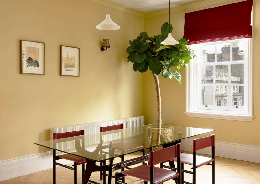 Flat Harley Street in City of Westminster