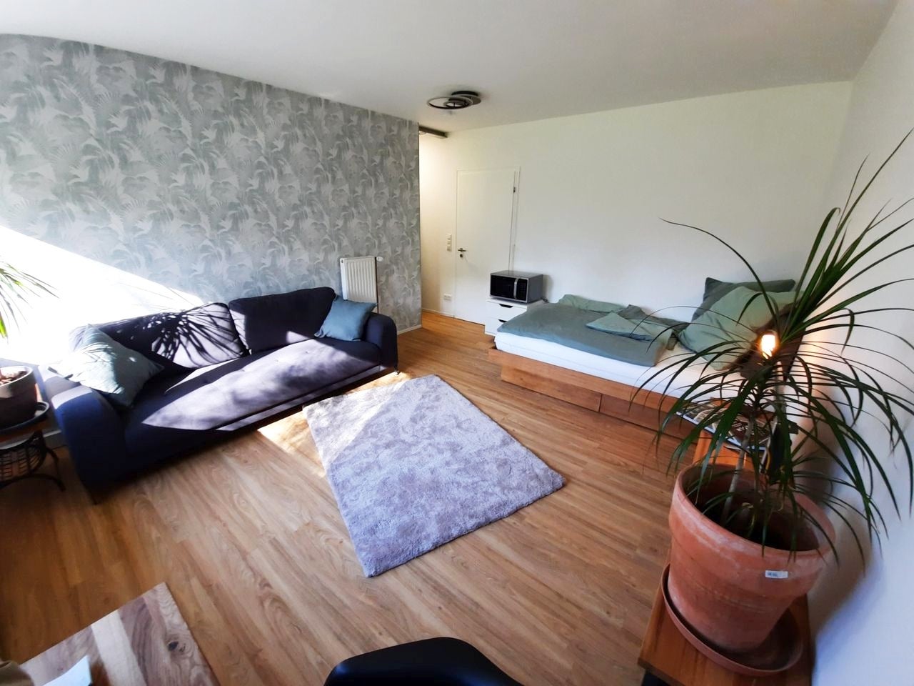 Wohnung Hufelandstraße in Köln